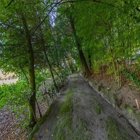 Casa De Valdemar 3* Felgueiras