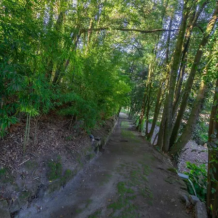 Casa De Valdemar ゲストハウス フェルゲイラス