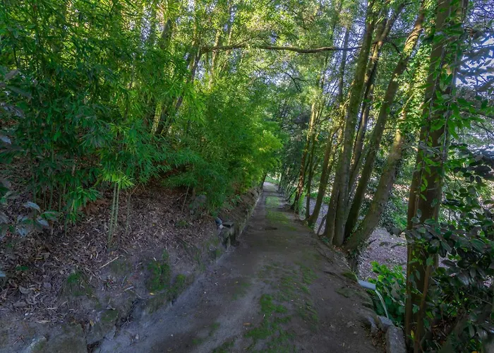 Casa De Valdemar Vendégház Felgueiras